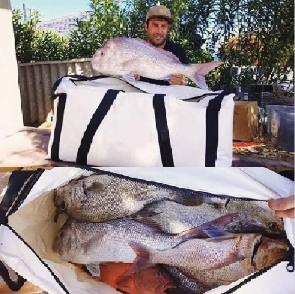 Сумка-холодильник Insulted Fish Сумка-холодильник Insulted Fish